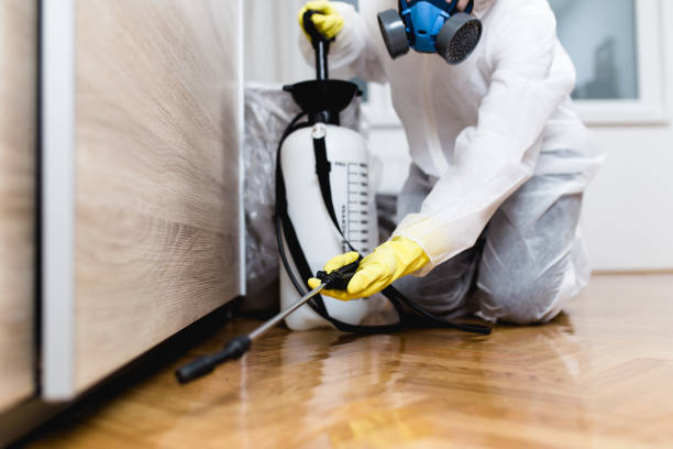 Best Exterminator Services  in New Britain, CT
