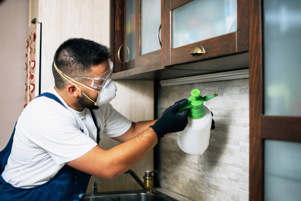 Best Pest Removal Services  in New Britain, CT