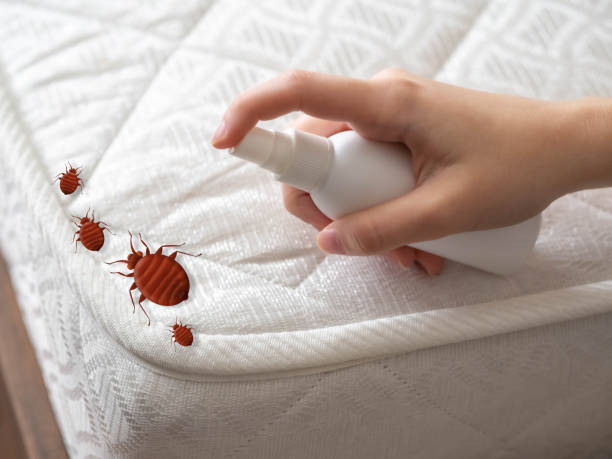 Best Pest Inspection Near Me  in New Britain, CT